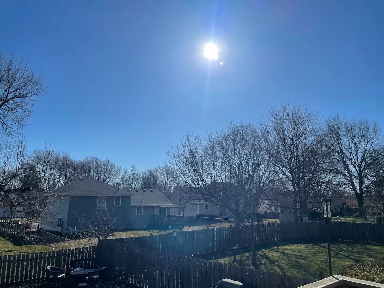 Blissful March Sunshine